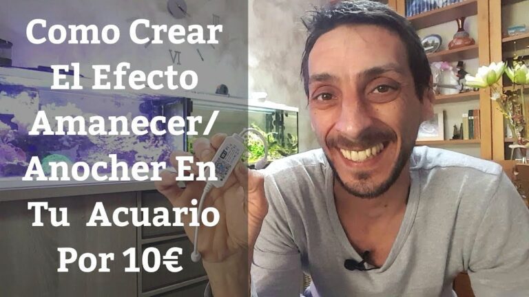 Descubre el efecto amanecer/anochecer de los LEDs: una experiencia única en iluminación