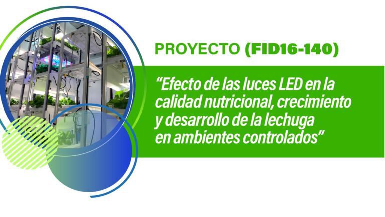 Revolucionario cultivo de lechugas con LED: m&aacute;s r&aacute;pido, eficiente y delicioso