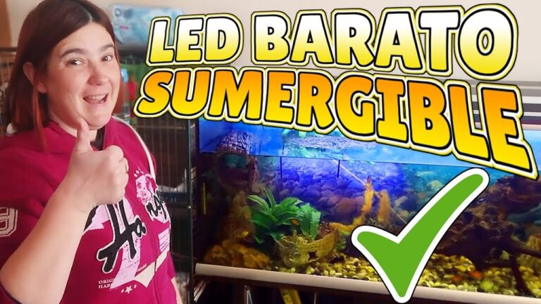 Descubre las incre&iacute;bles tiras LED sumergibles para acuarios y transforma tu acuario en un espect&aacute;culo luminoso