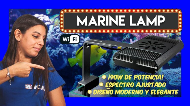 Descubre las lámparas LED ideales para acuarios marinos y potencia la vida marina